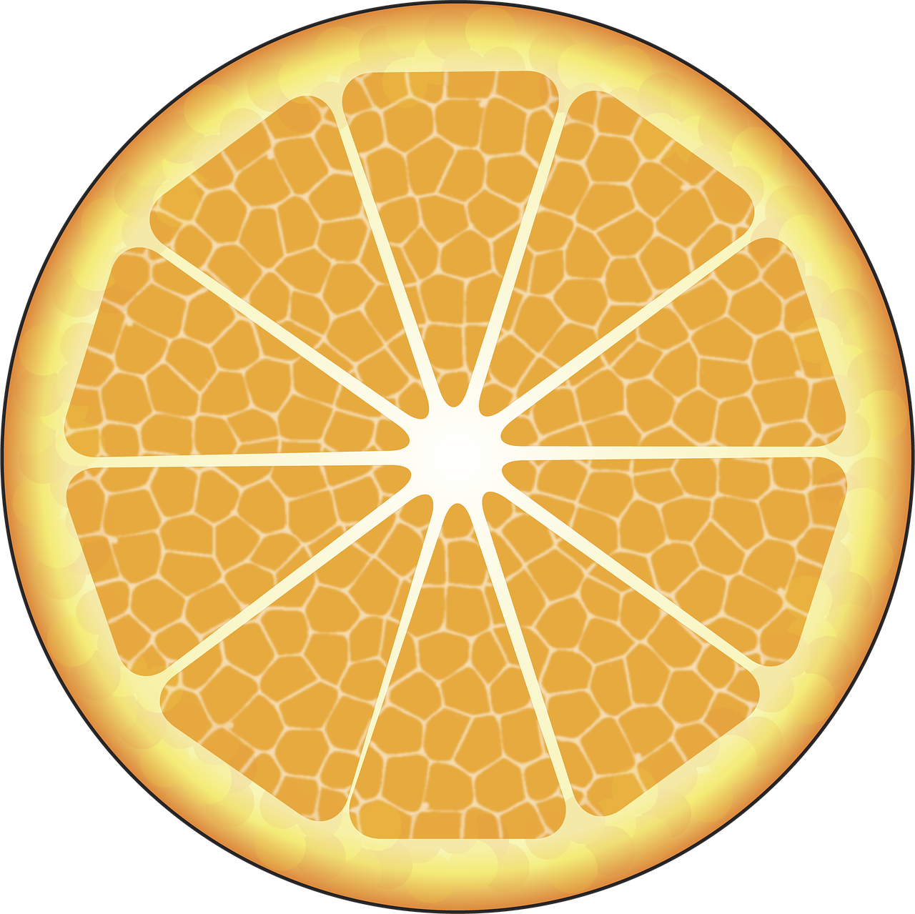 orange food citric free photo