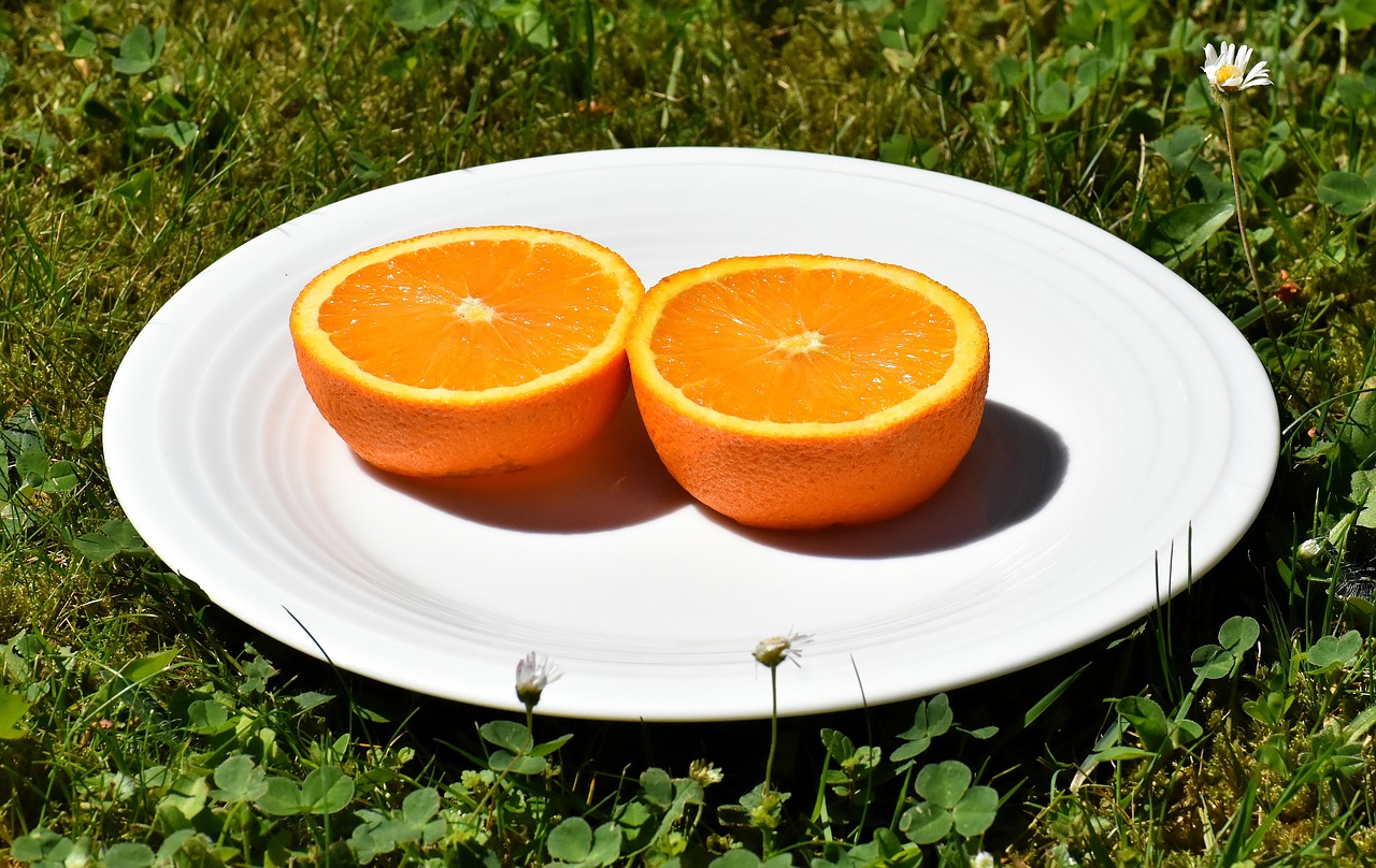 orange  delicious  fruit free photo