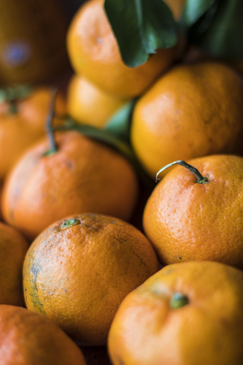 orange  fruit  food free photo