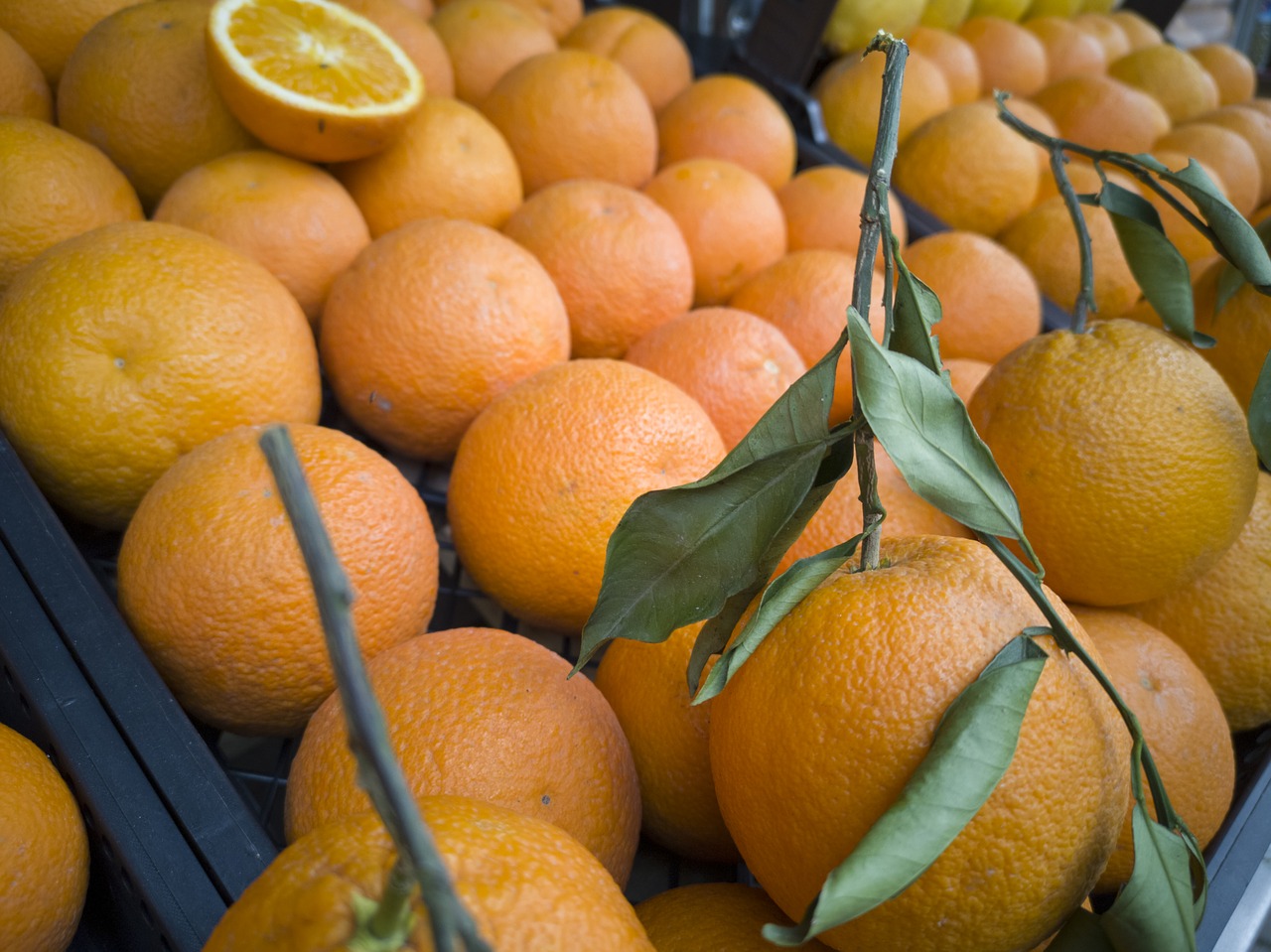 orange  fruit  food free photo