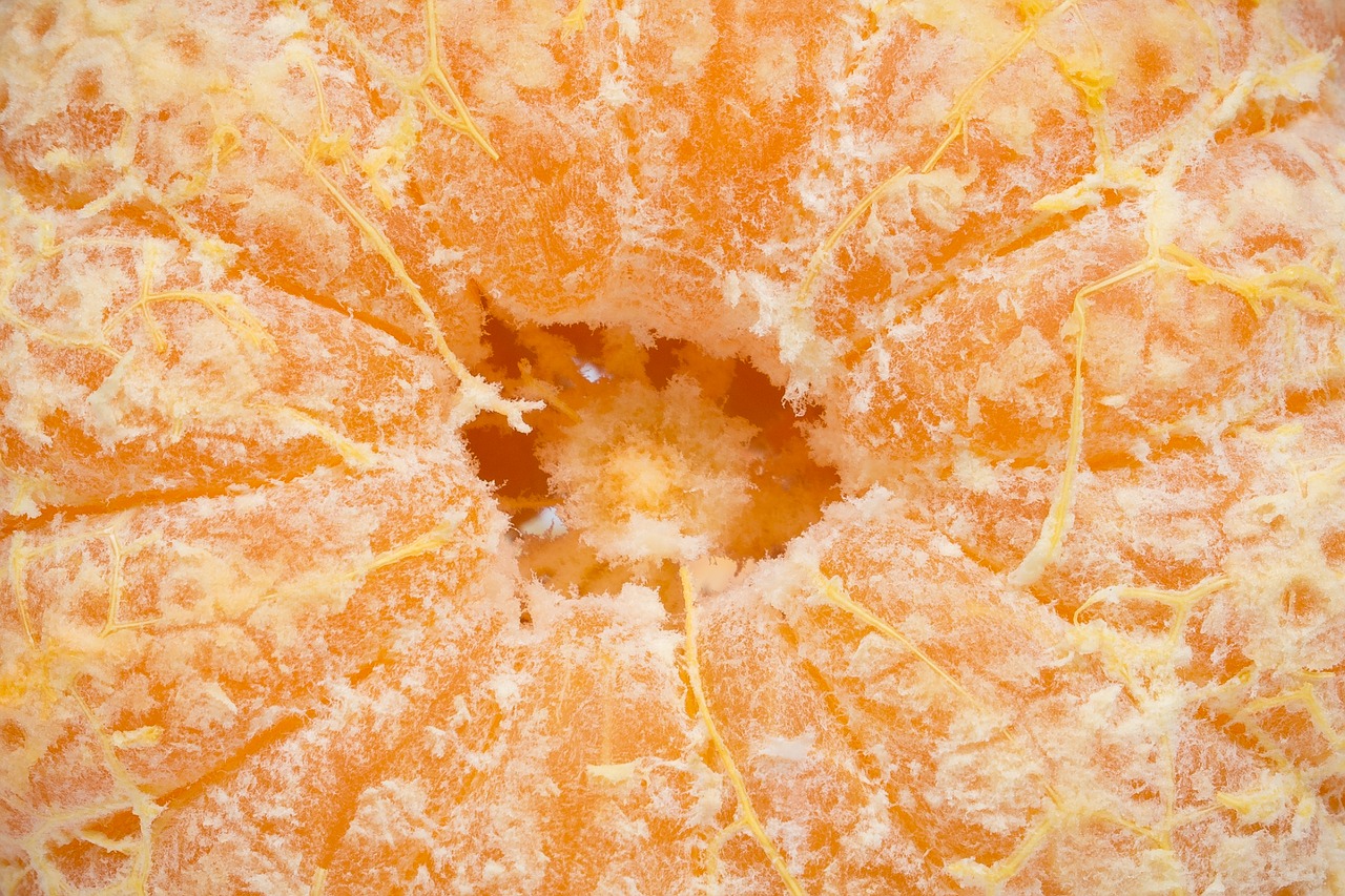 orange  fruit  food free photo