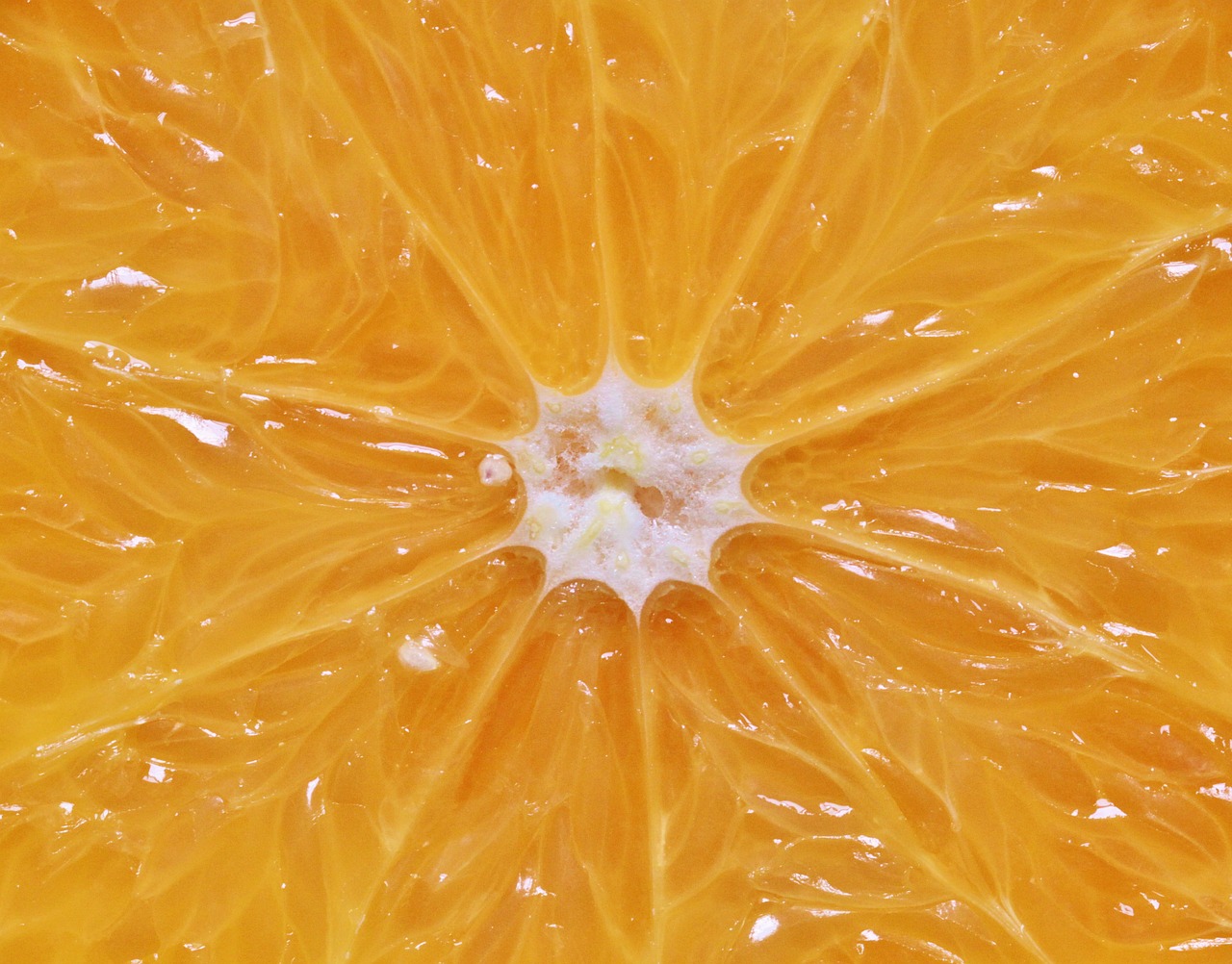 orange citrus fruit pulp free photo