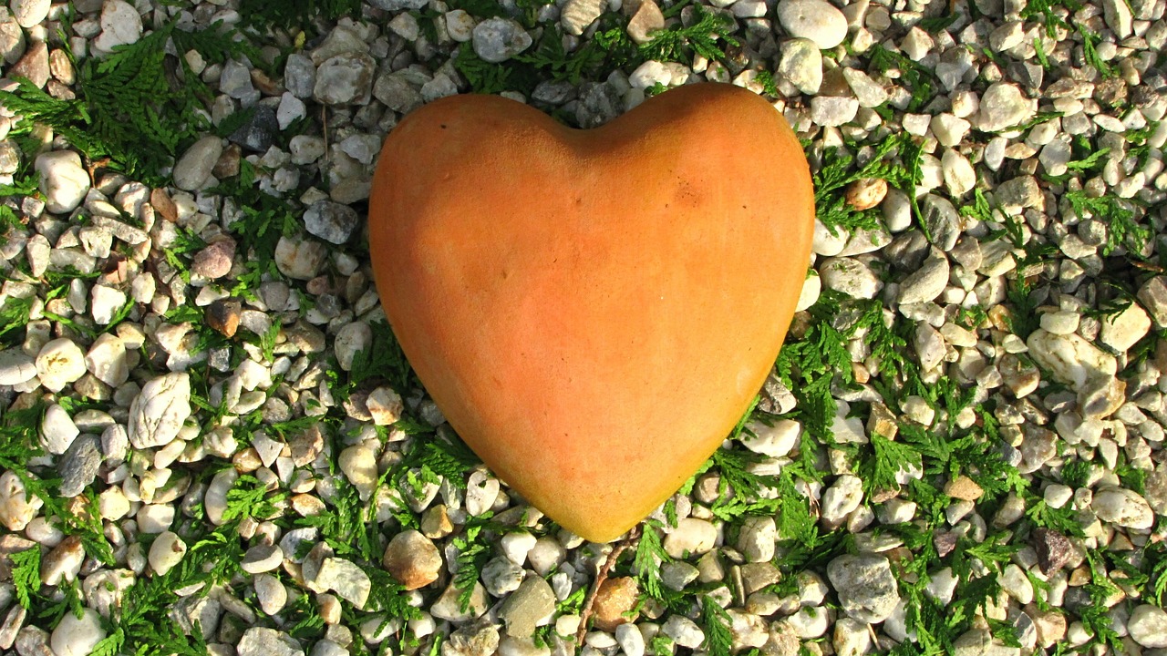 orange heart love free photo