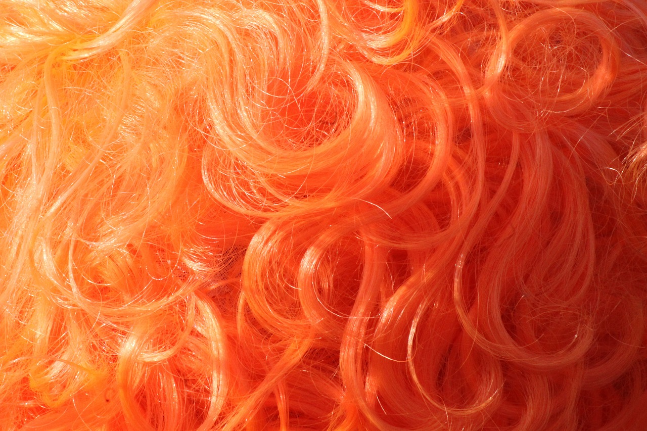 orange wig netherlands free photo