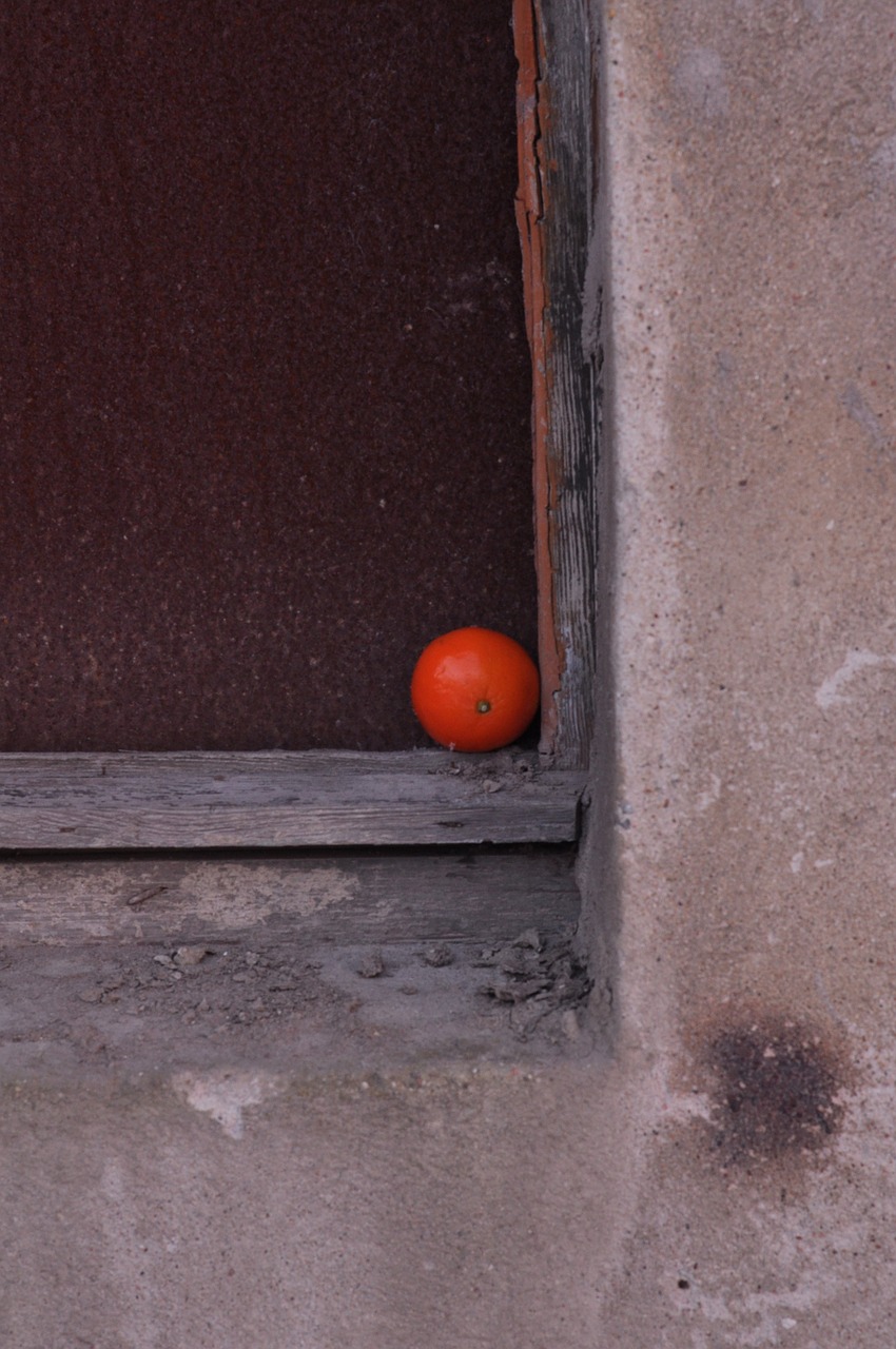 orange frame window free photo