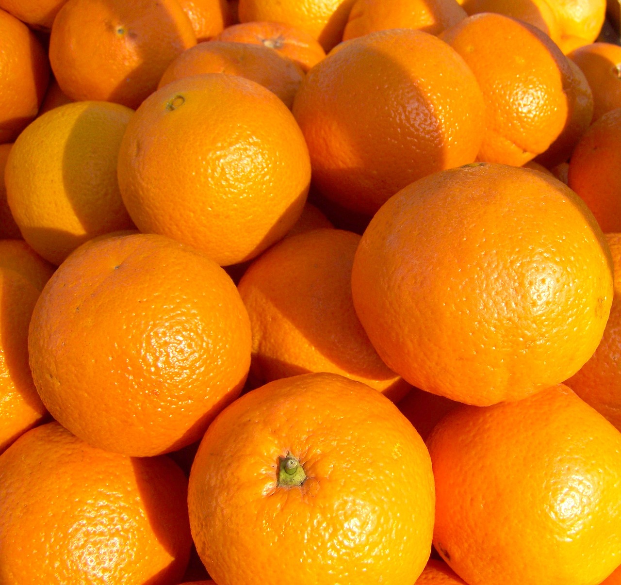 orange fruit free pictures free photo