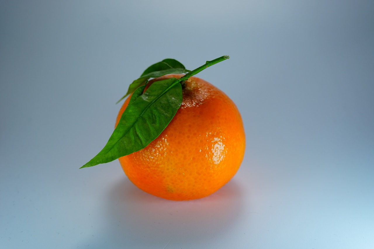 orange mandarin clementine free photo