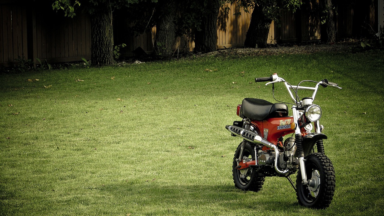 orange motorcycle nature free photo