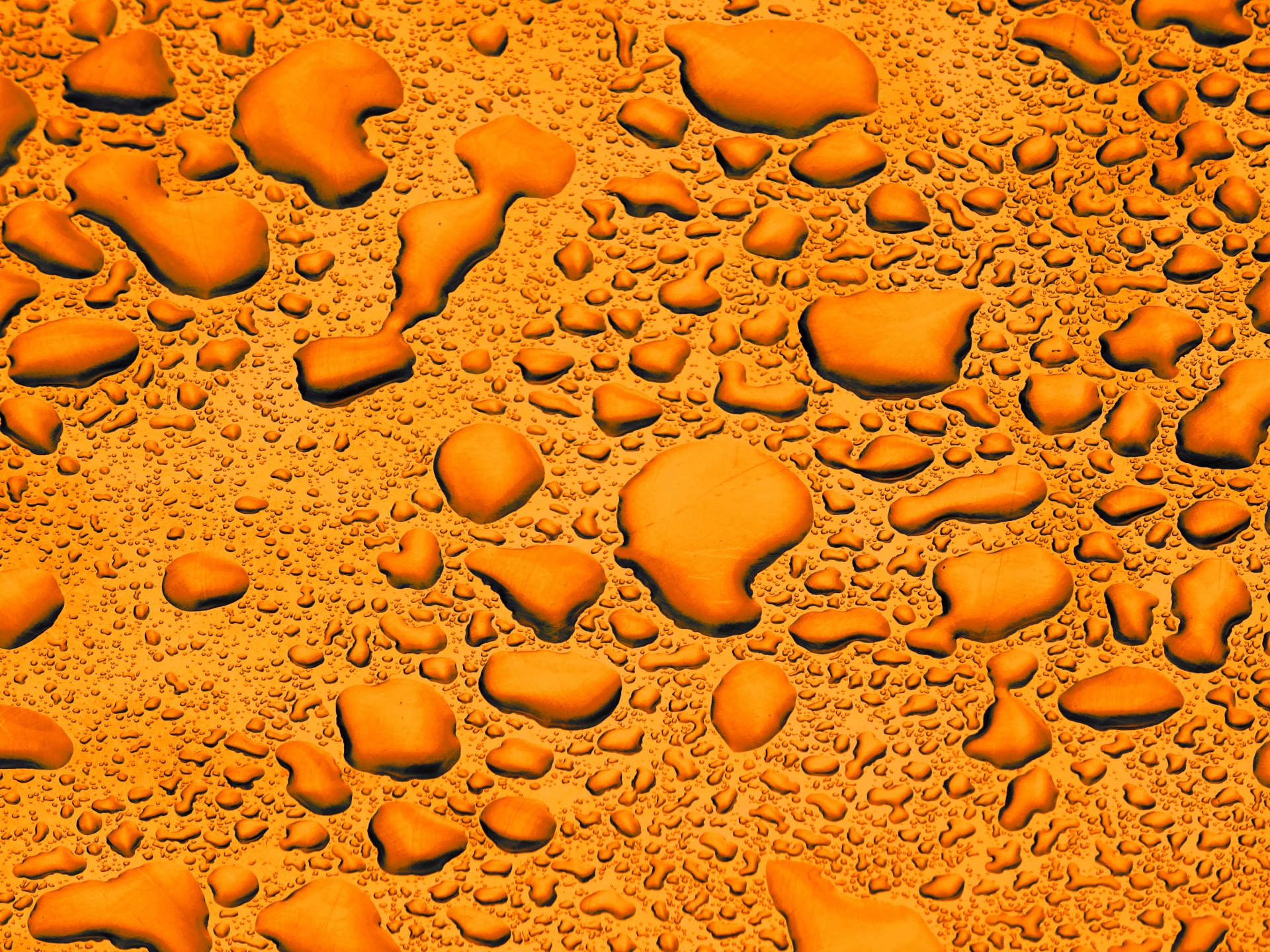 orange rainfall rain free photo
