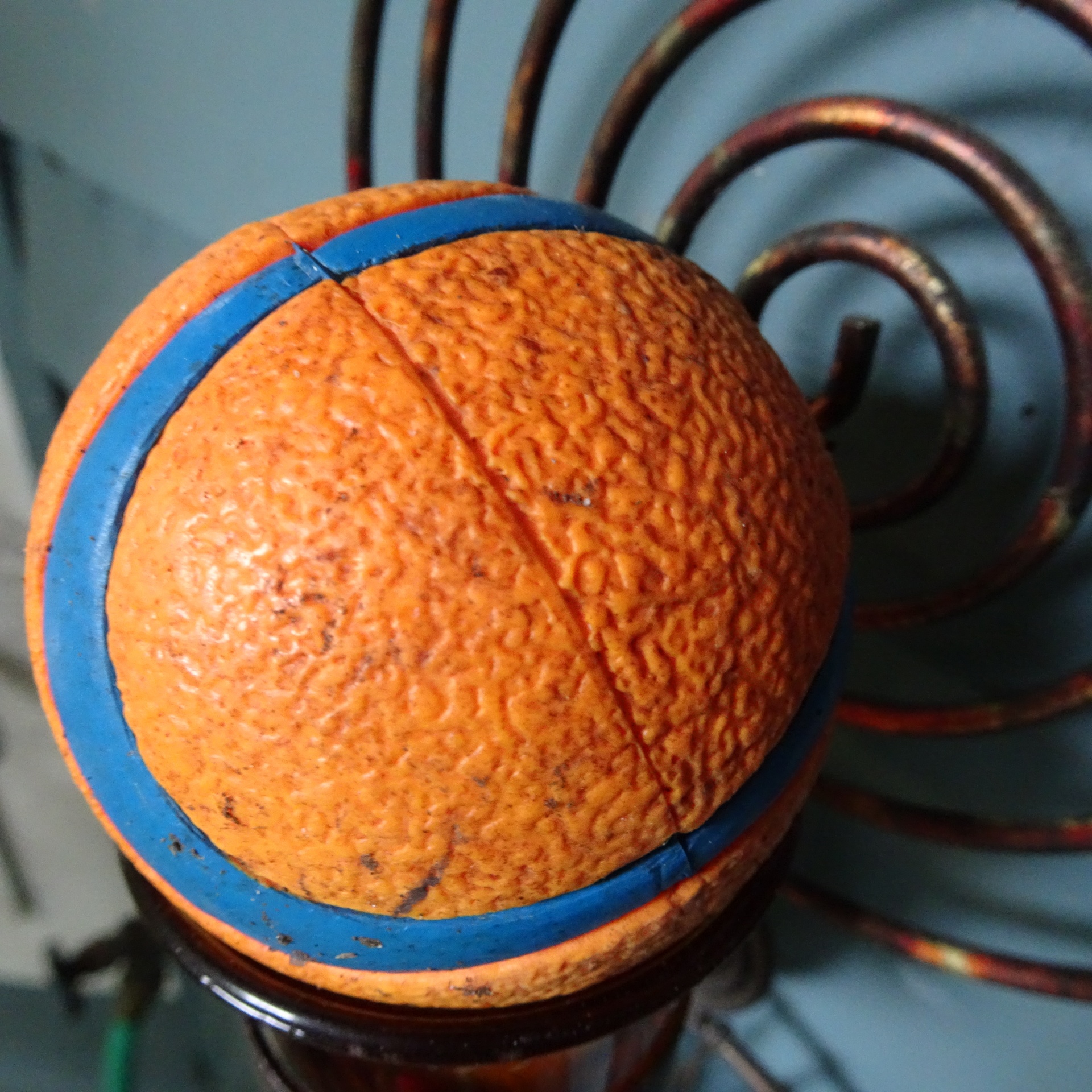 orange ball closeup free photo
