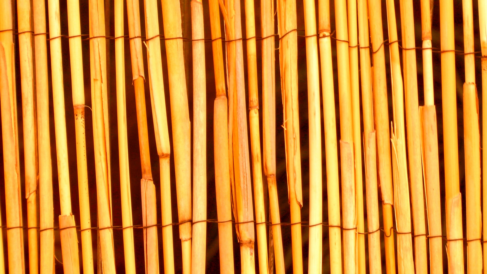 orange background web free photo