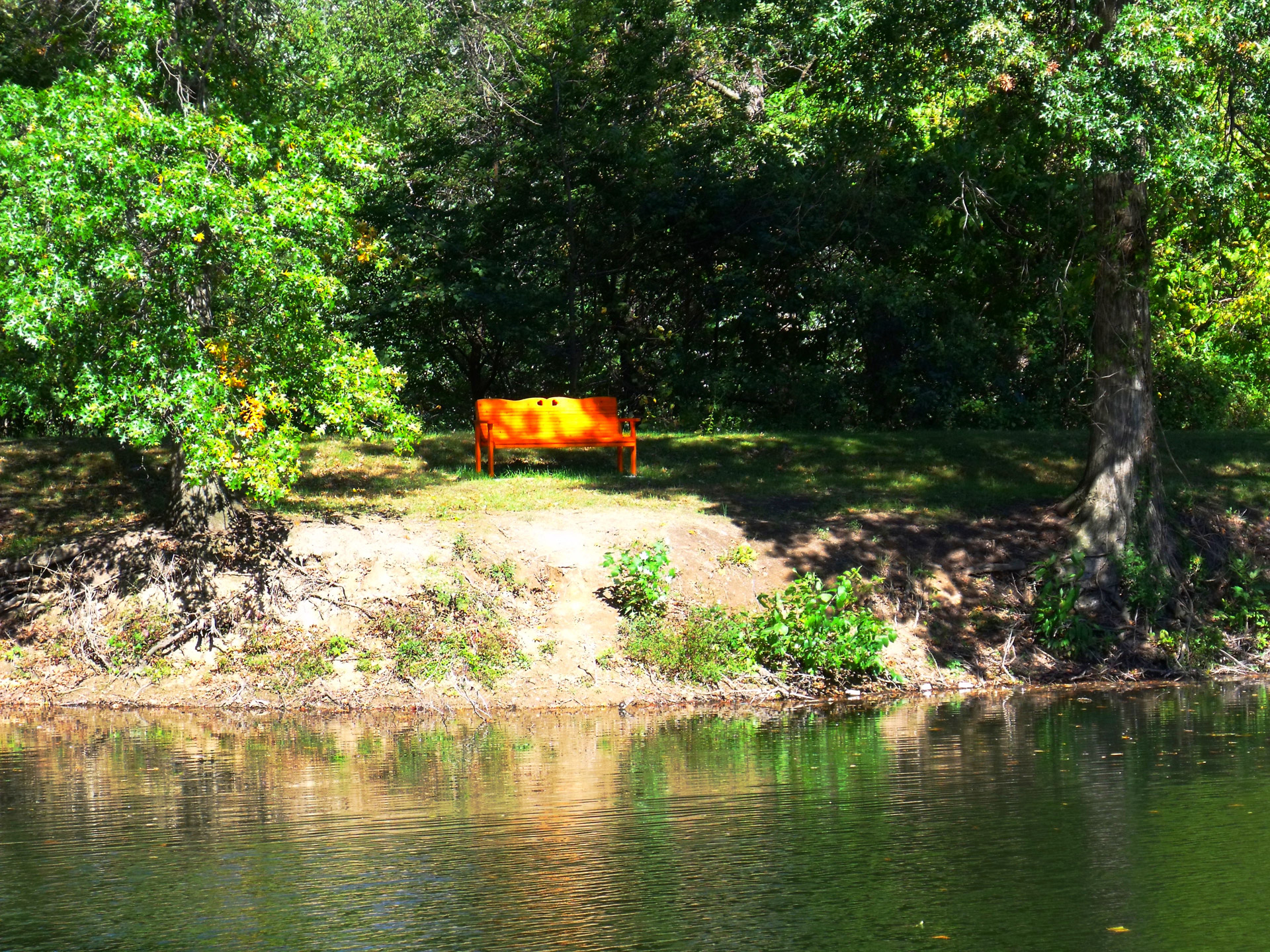 park bench summer free photo