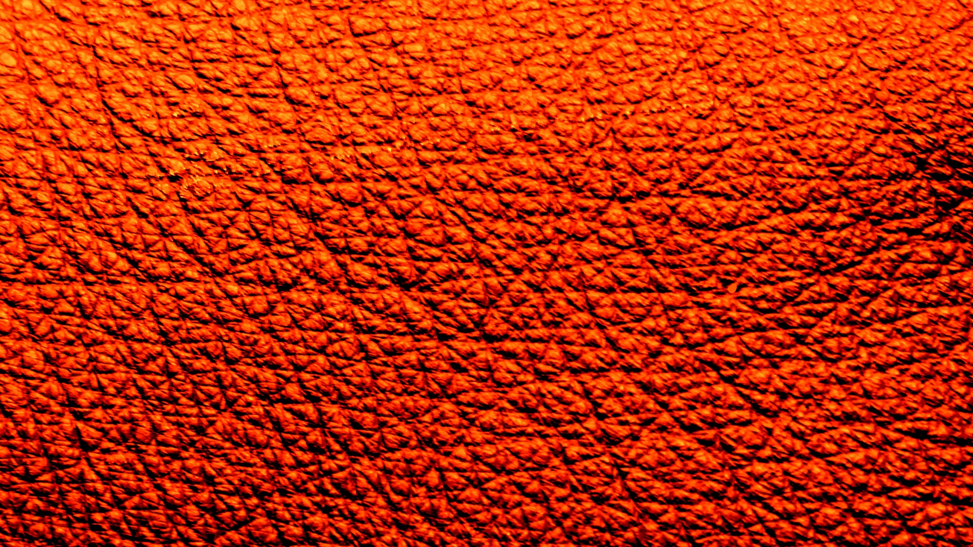 orange wallpaper background free photo