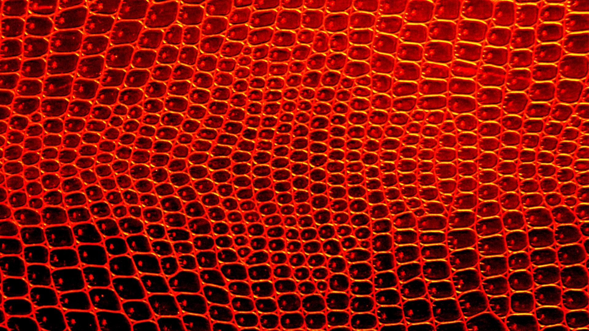 orange background web free photo