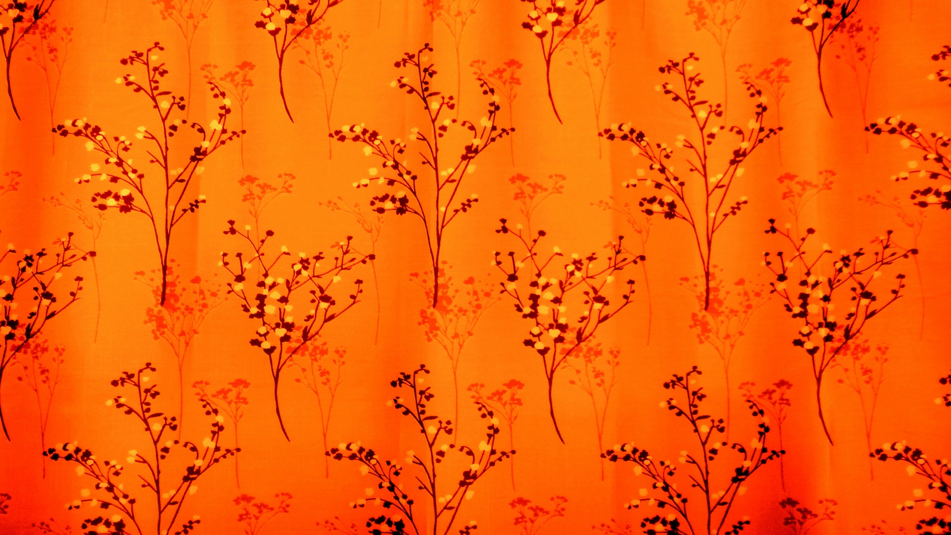 orange background backgrounds free photo