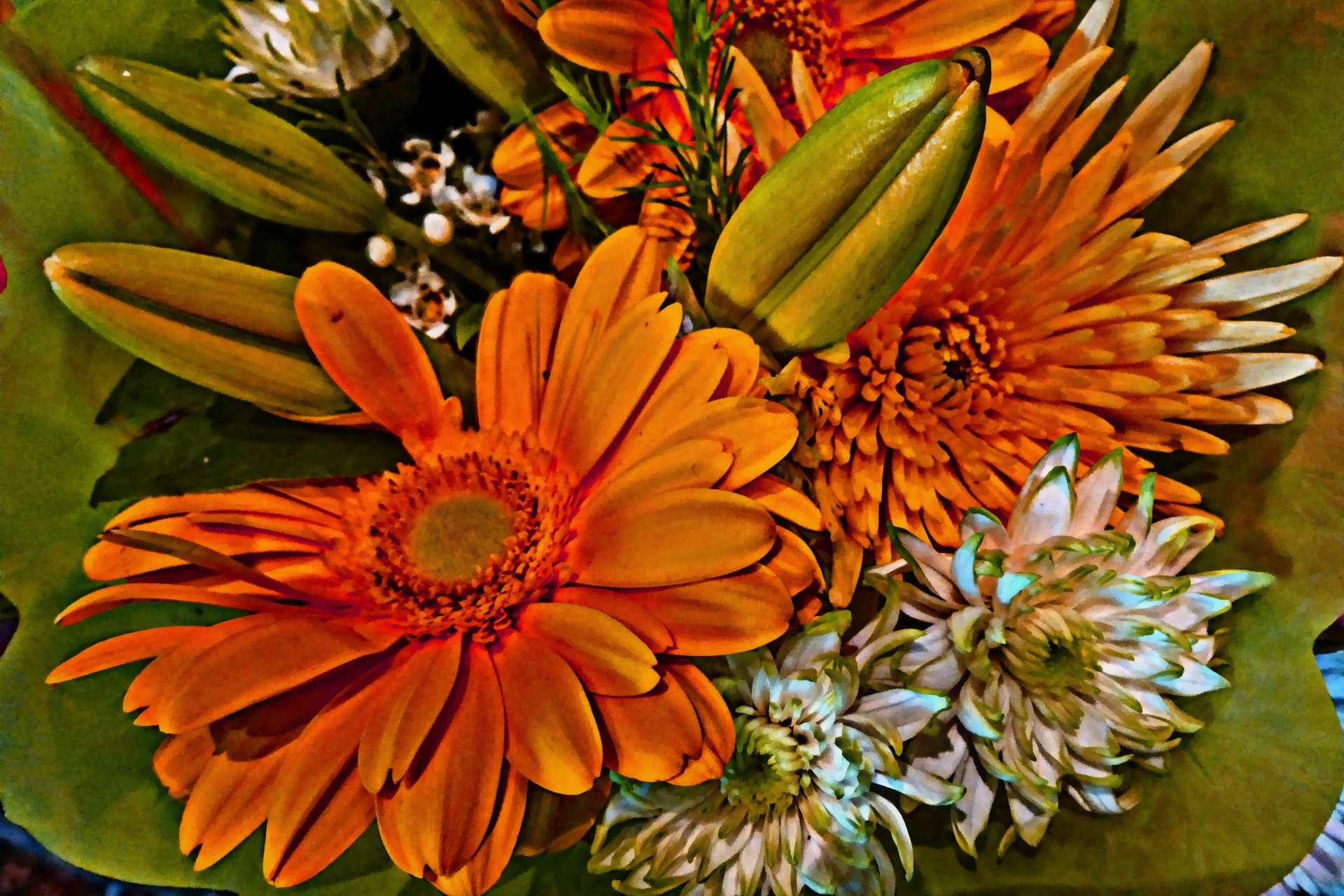 flower flowers orange free photo