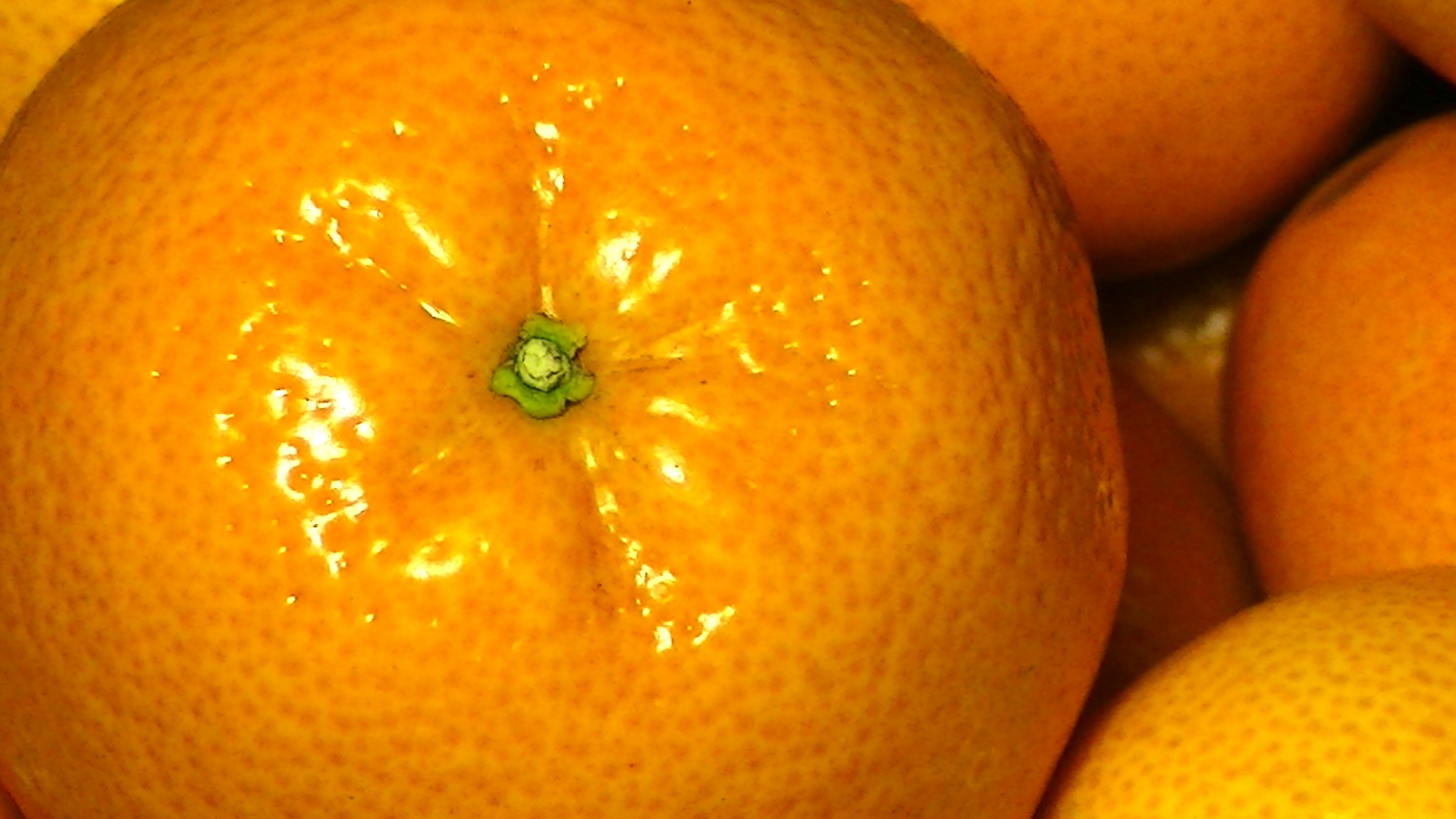 orange oranges fruit free photo