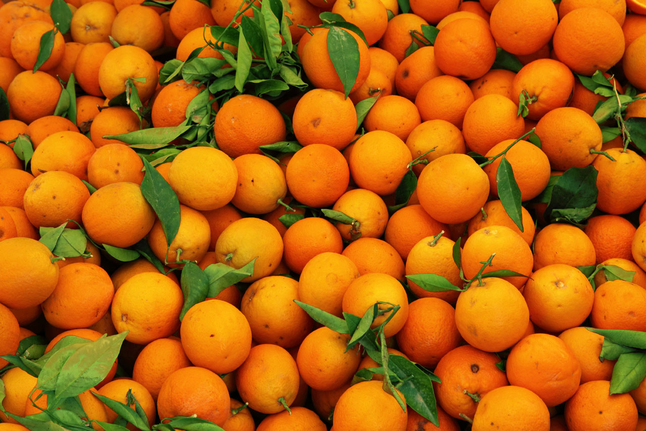 backdrop background citrus free photo