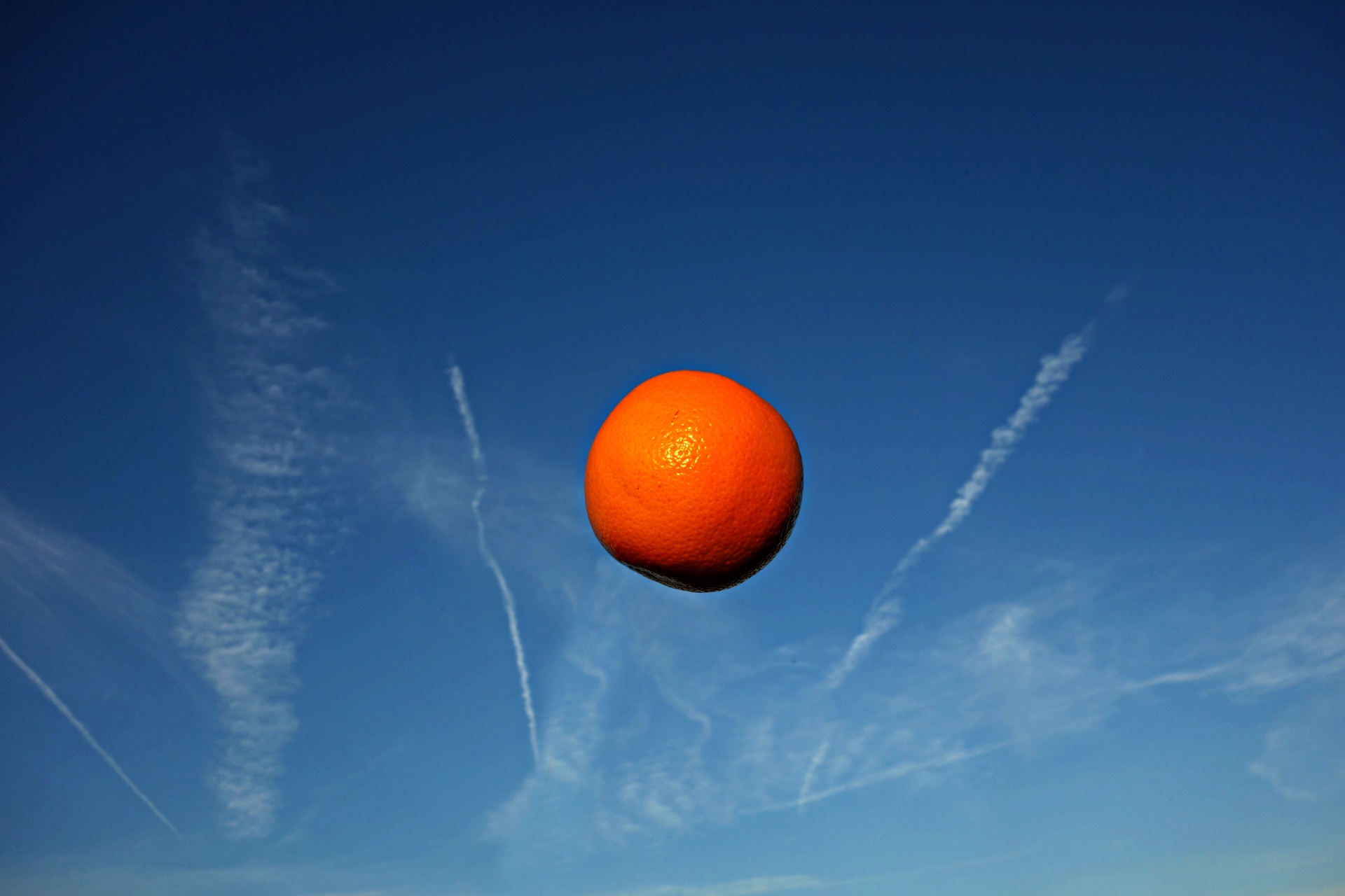 orange fruit food free photo