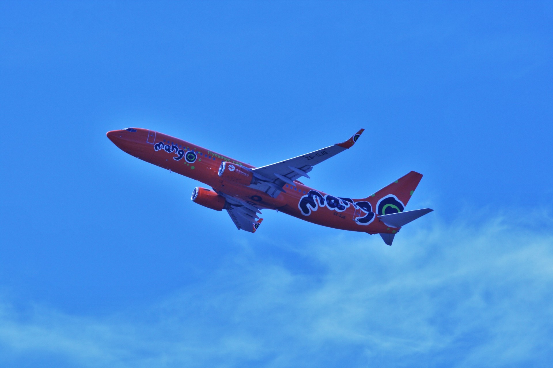 jet airline flyby free photo