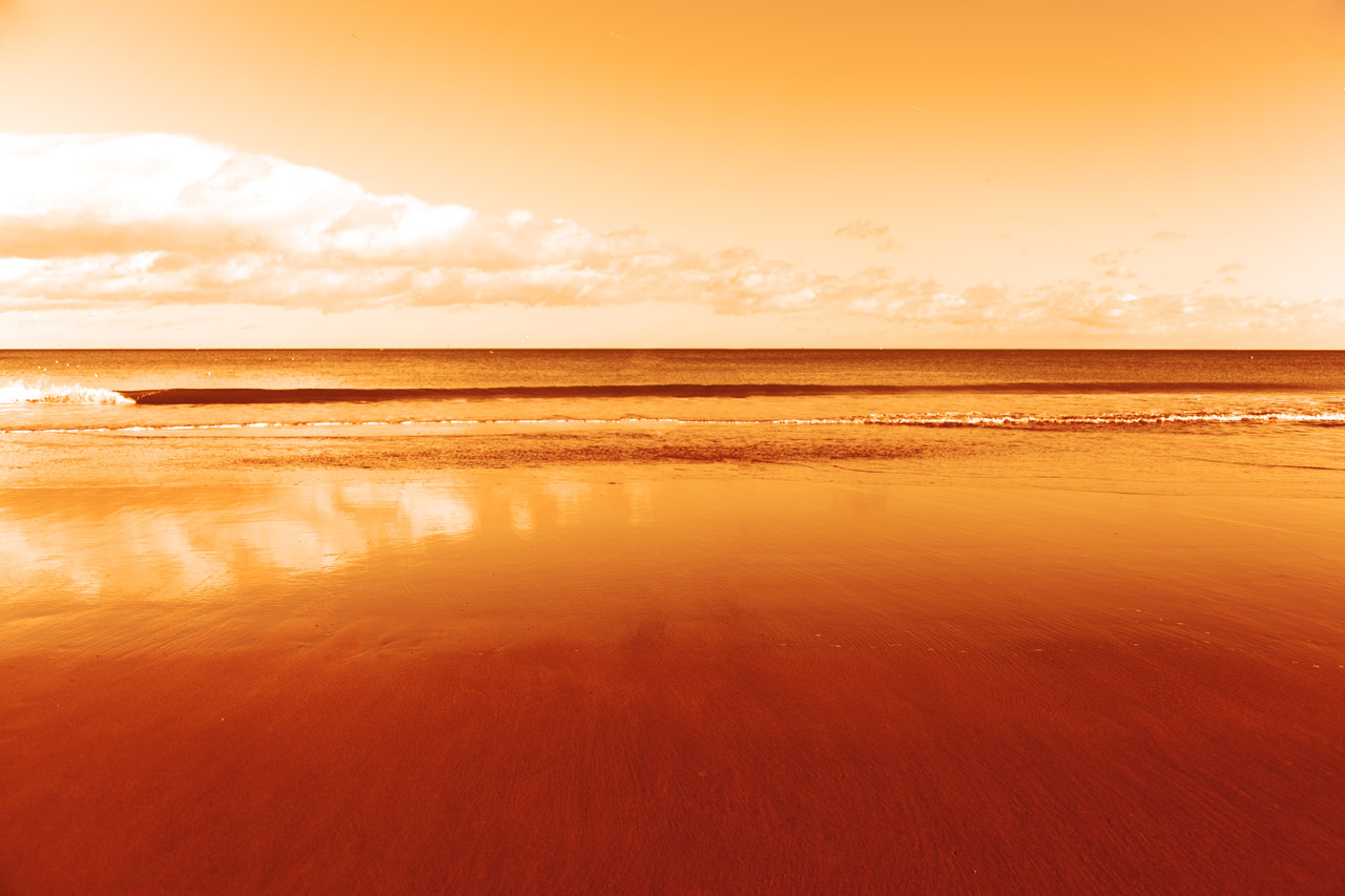 background orange clear free photo