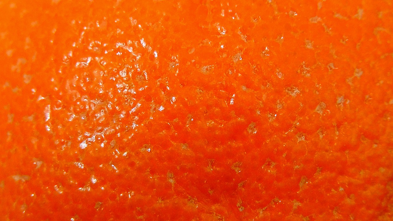 orange peel orange sweet free photo