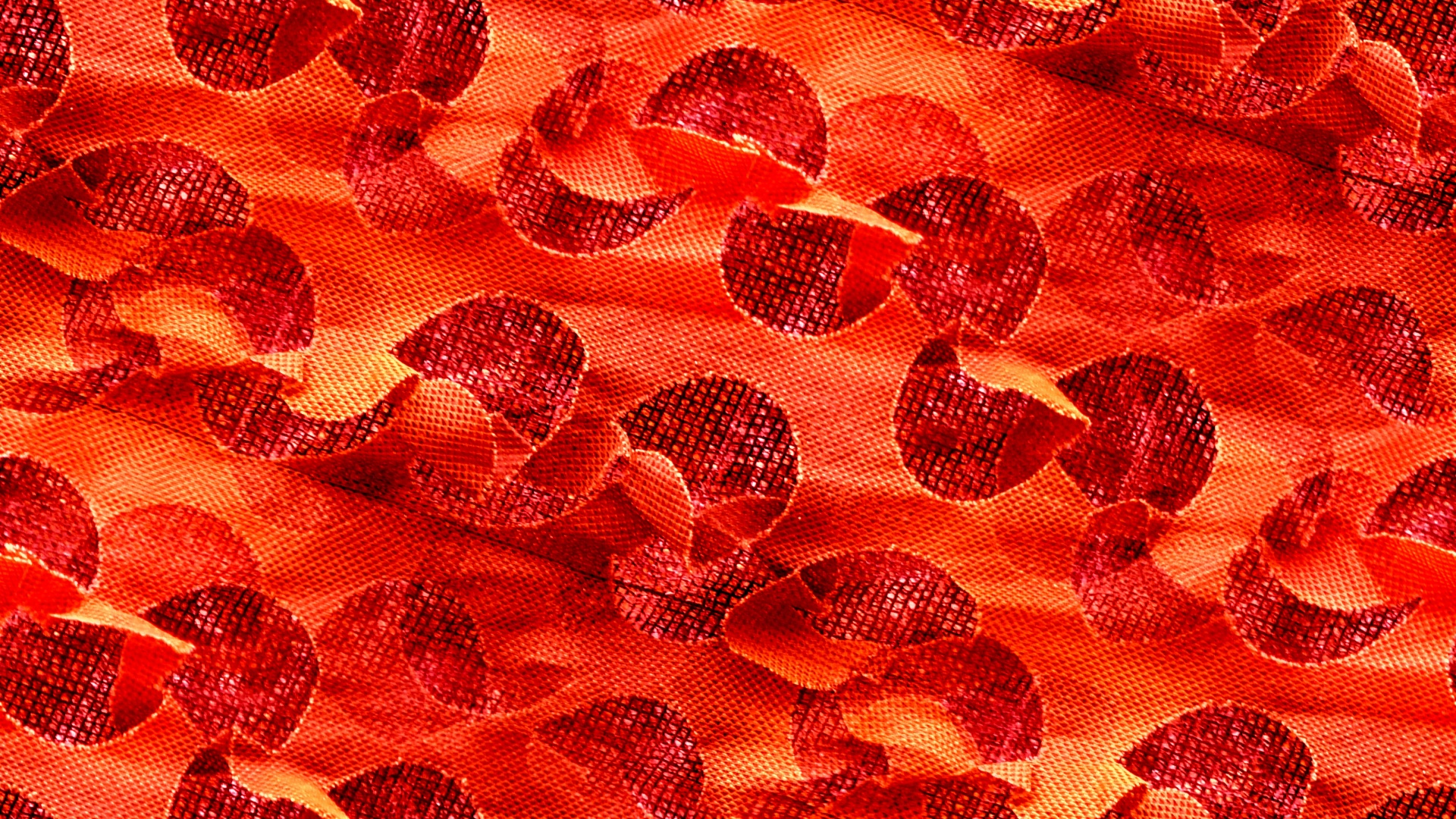 orange red background free photo