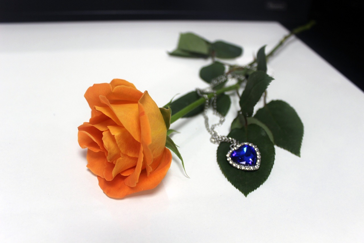 orange rose necklace rose free photo