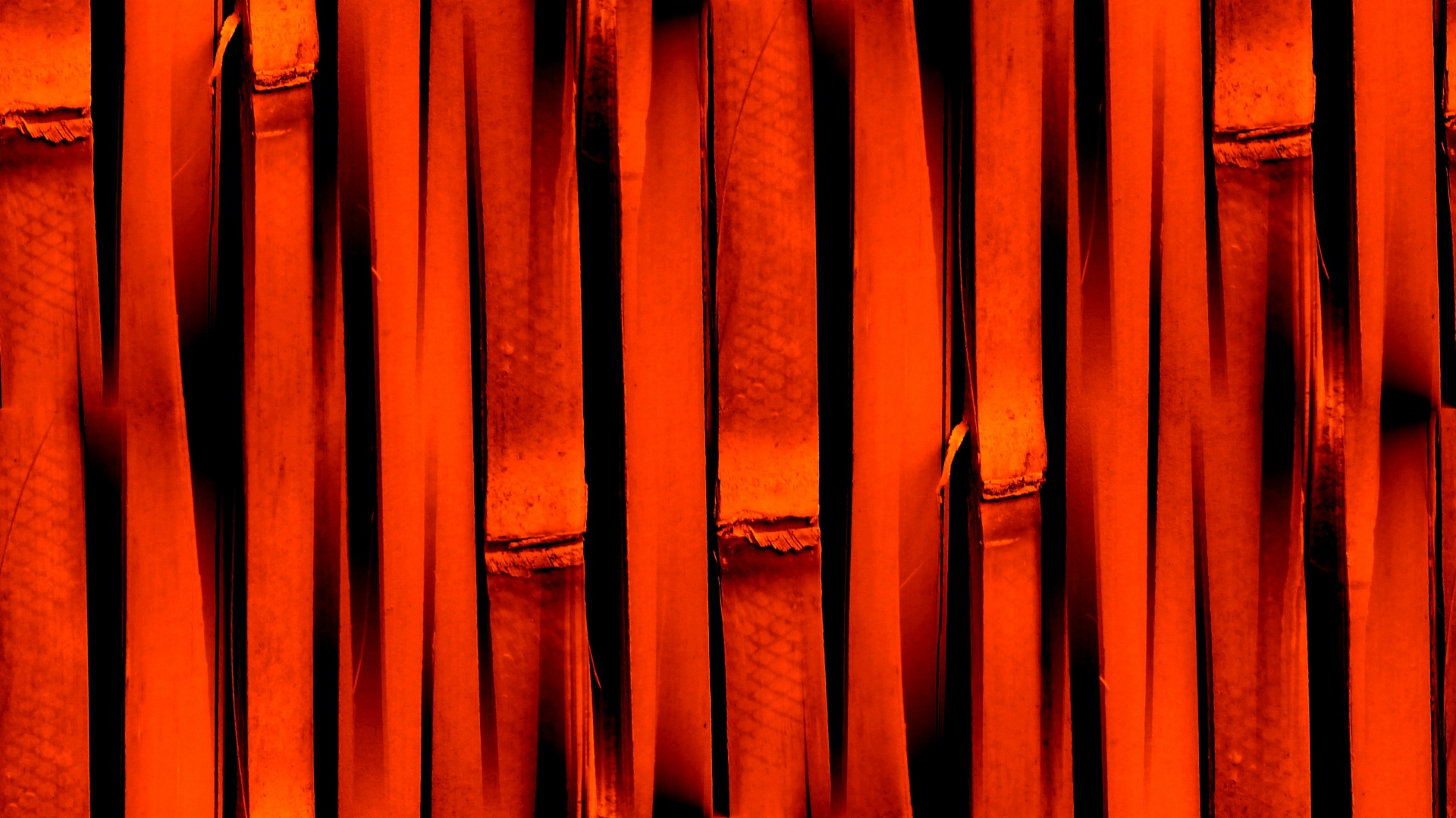 orange wallpaper background free photo