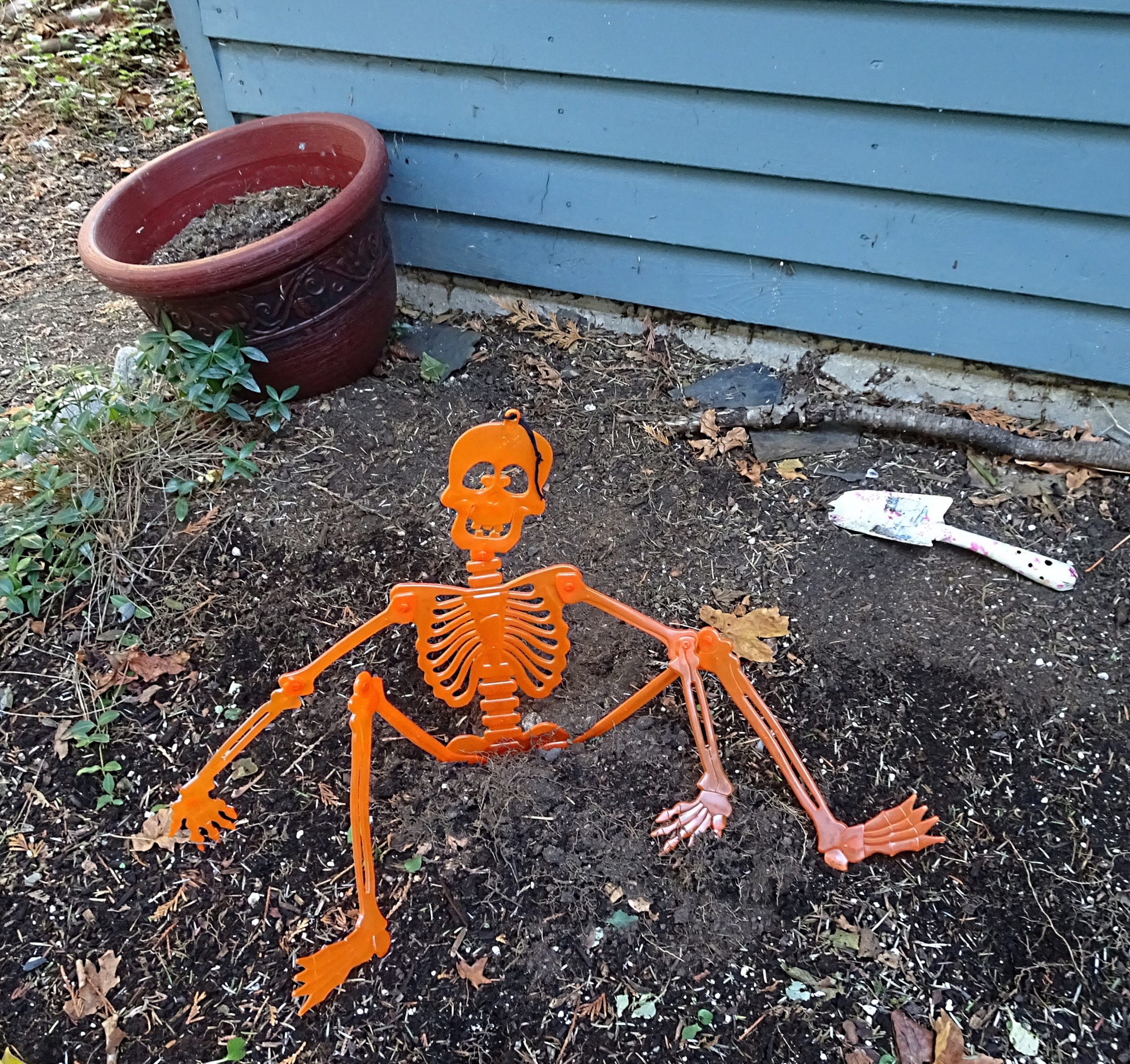 orange skeleton lying free photo