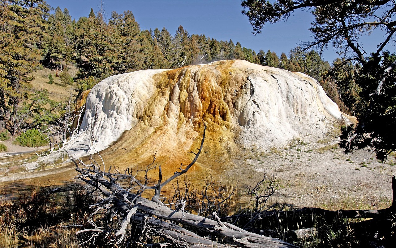 orange spring mound yellowstone national park wyoming free photo