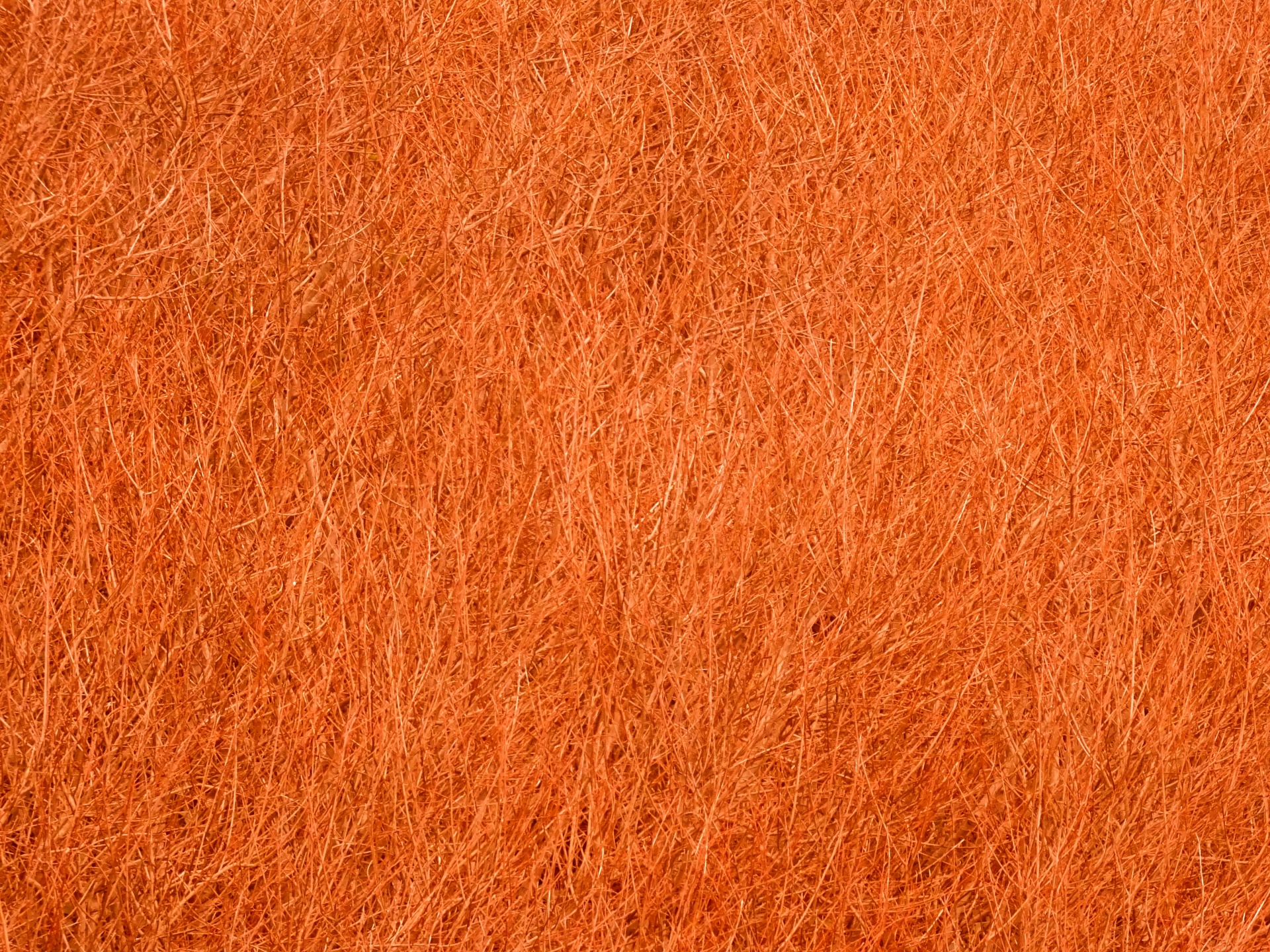 orange background web free photo