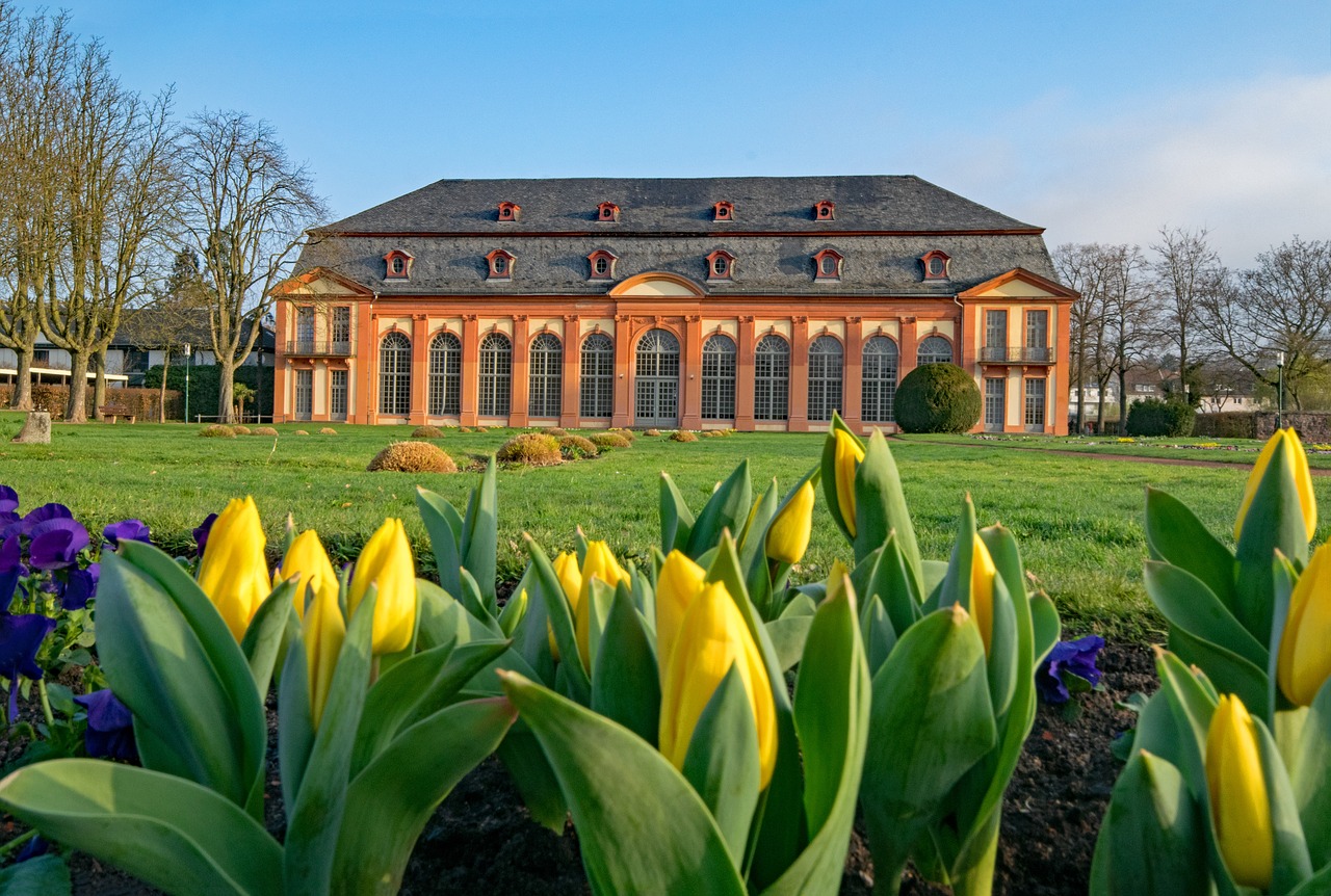 orangery darmstadt hesse free photo