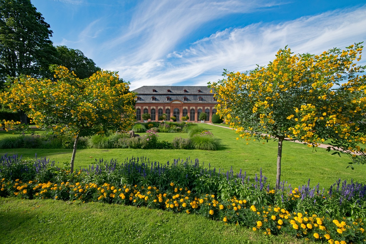 orangery darmstadt hesse free photo