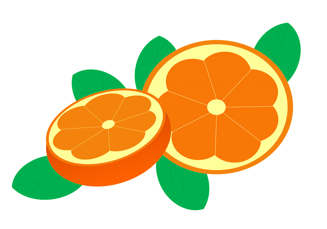 oranges orange bay citrus sinensis free photo