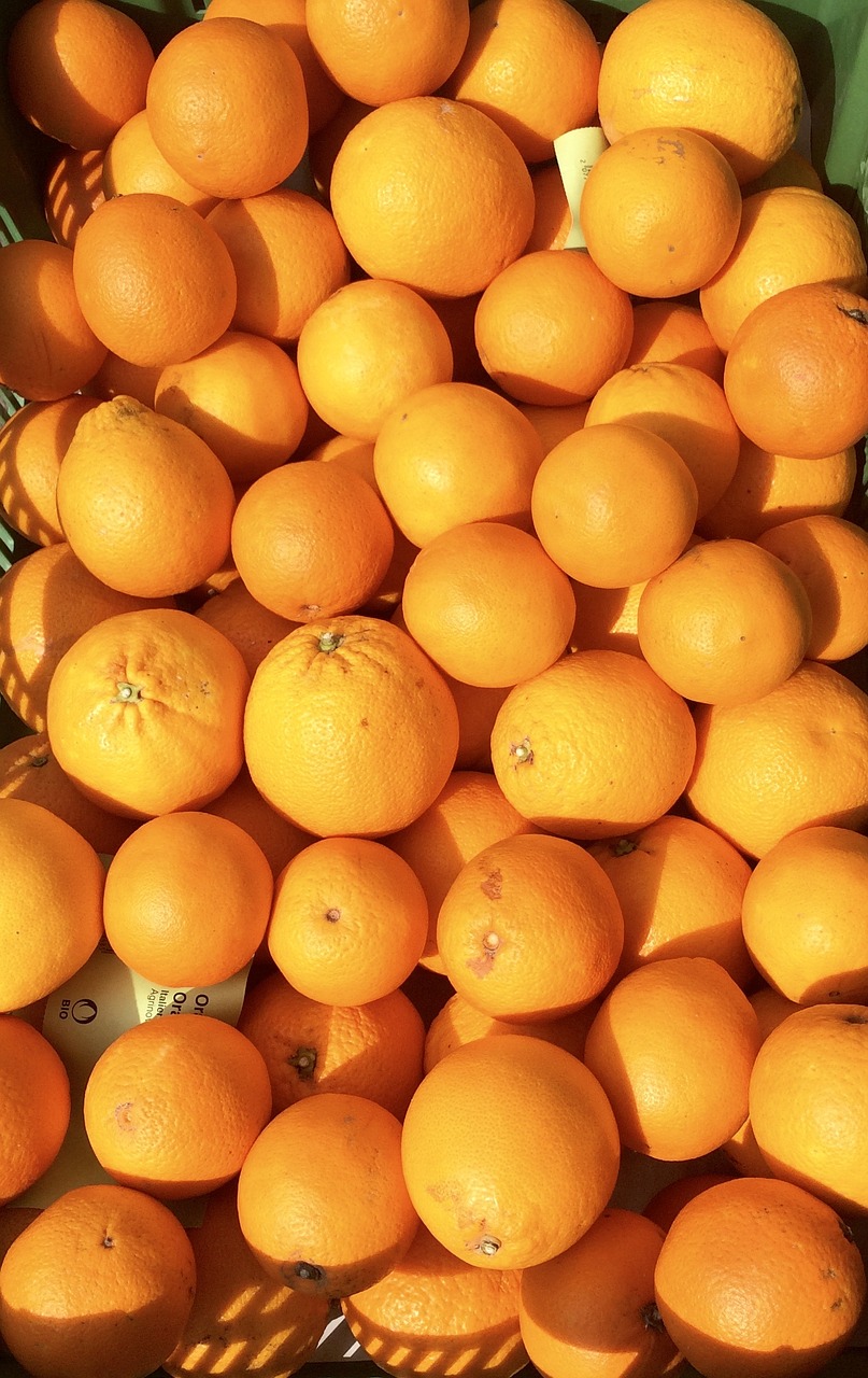 oranges fruits market free photo