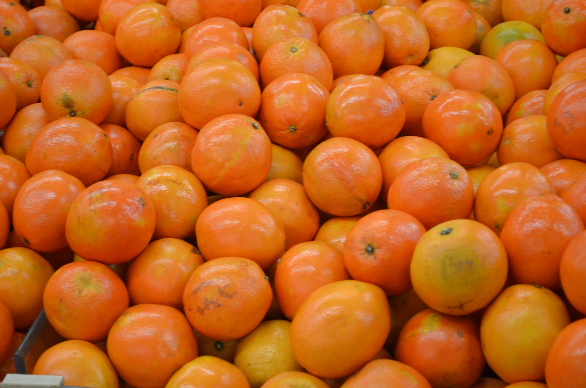 oranges orange navel free photo