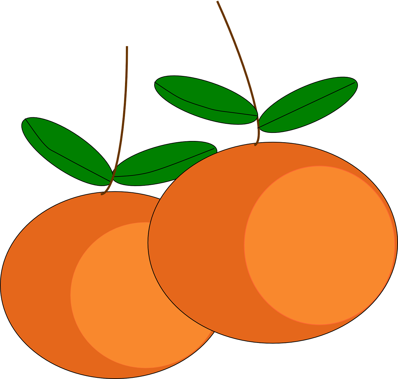 oranges fruits citrus free photo