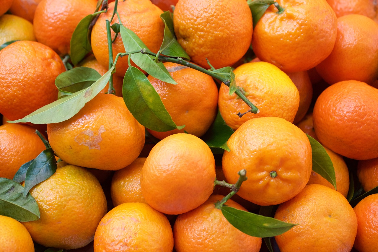 oranges fruit citrus free photo