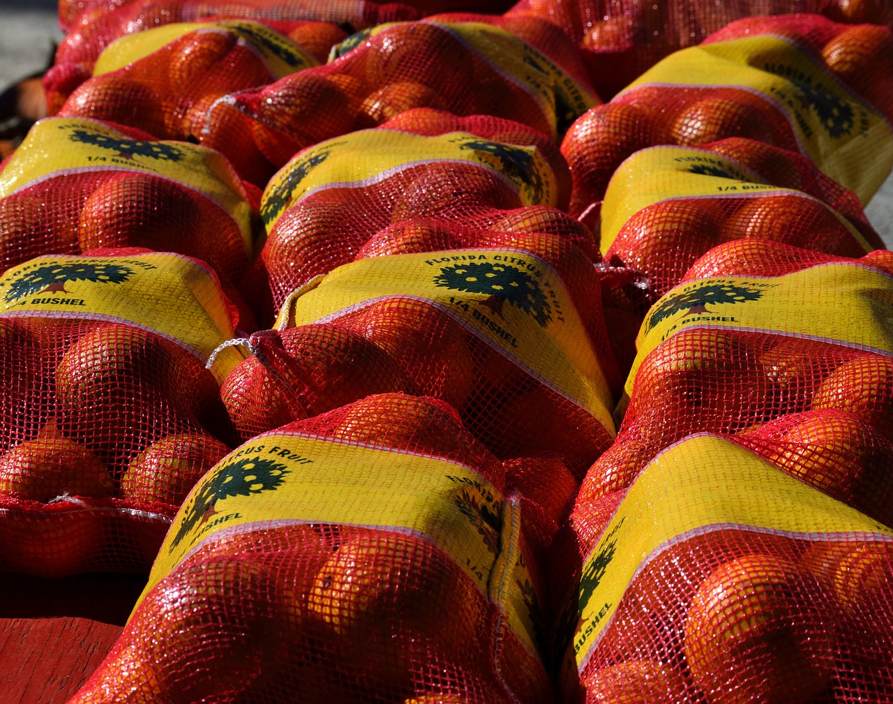 oranges for sale fruit free photo