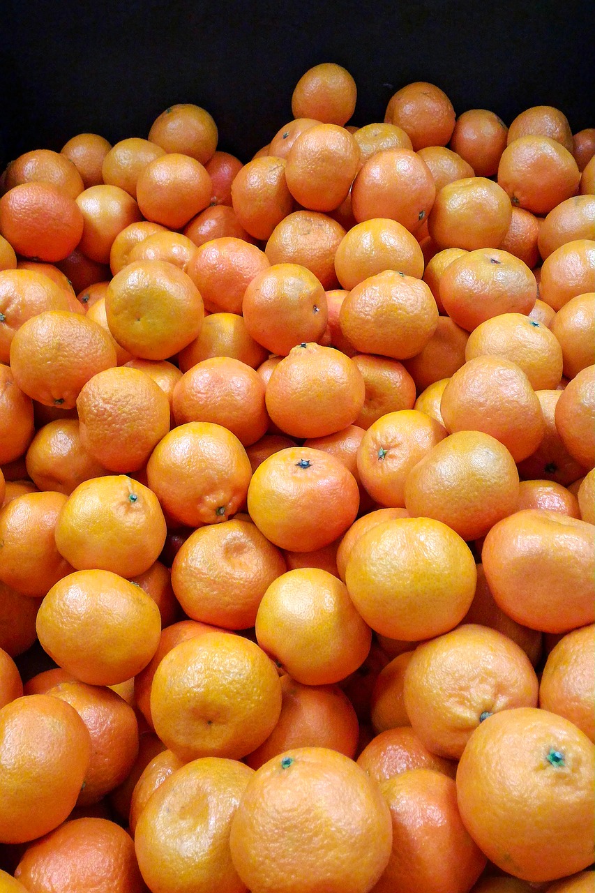 oranges orange close free photo