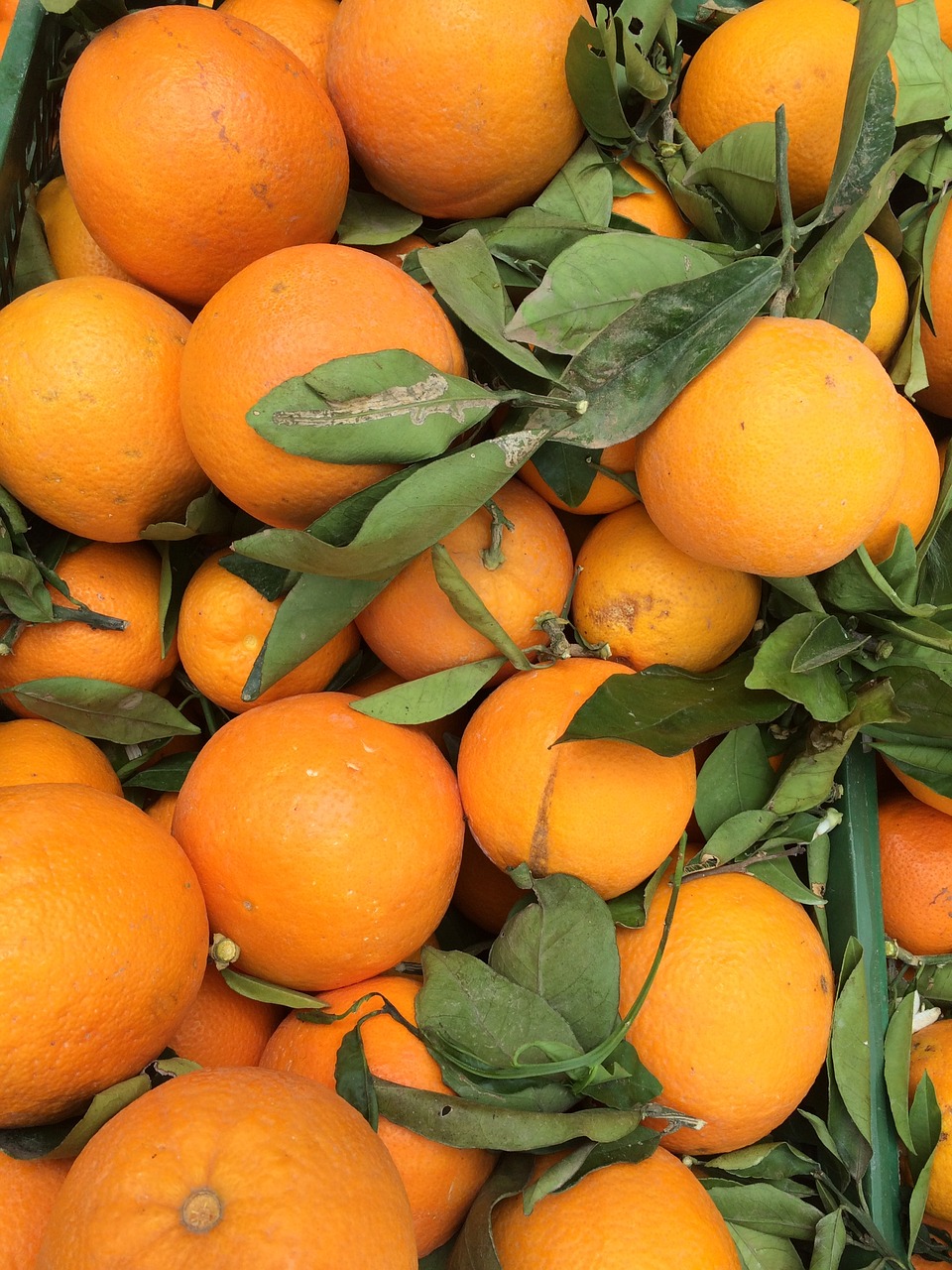 oranges market stall orange free photo