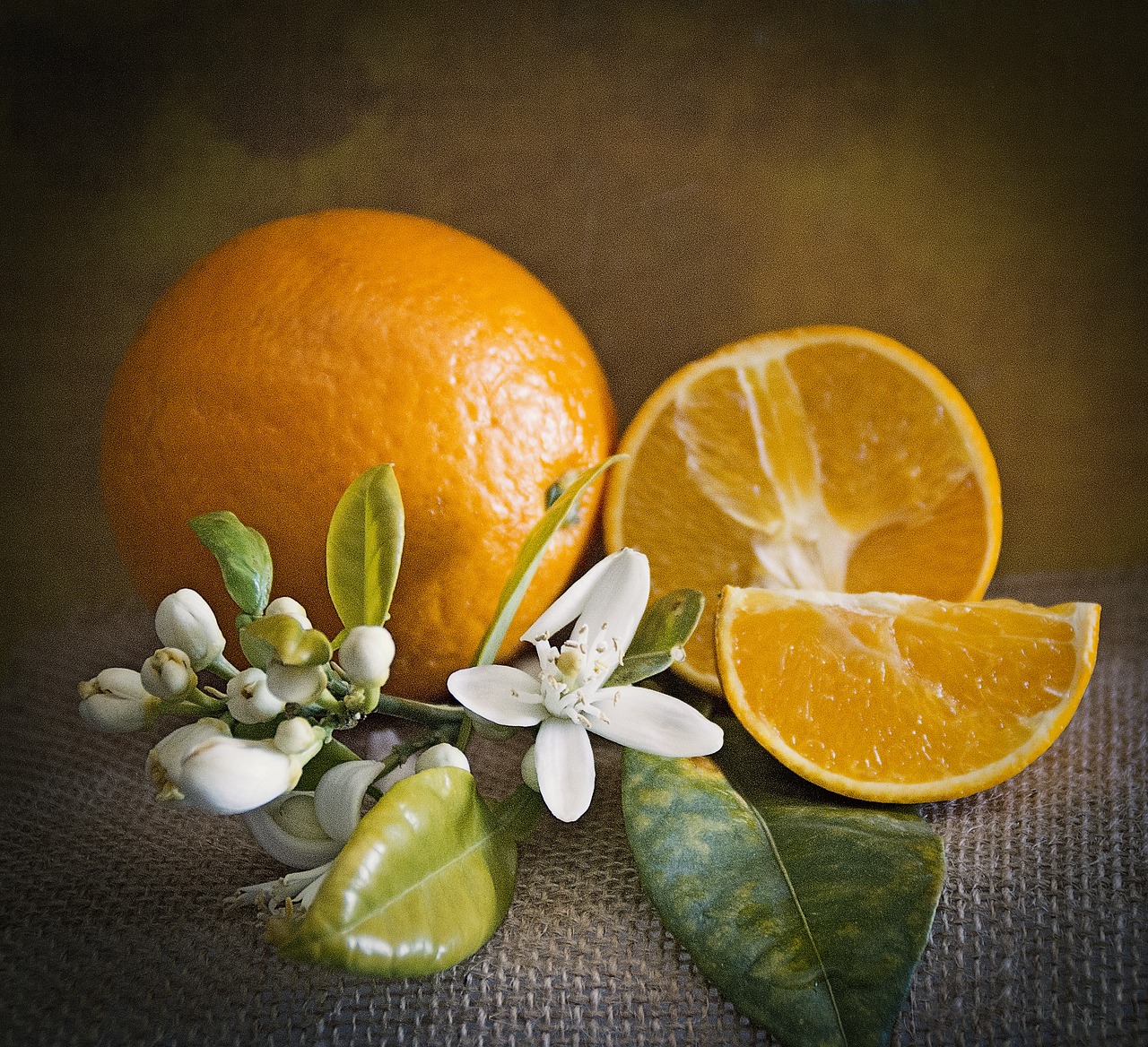 oranges still life fruit free photo