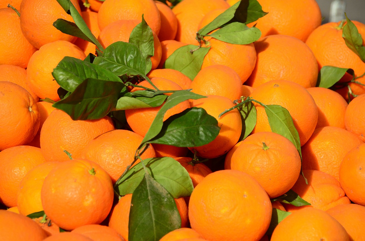 oranges fruit citrus fruit free photo