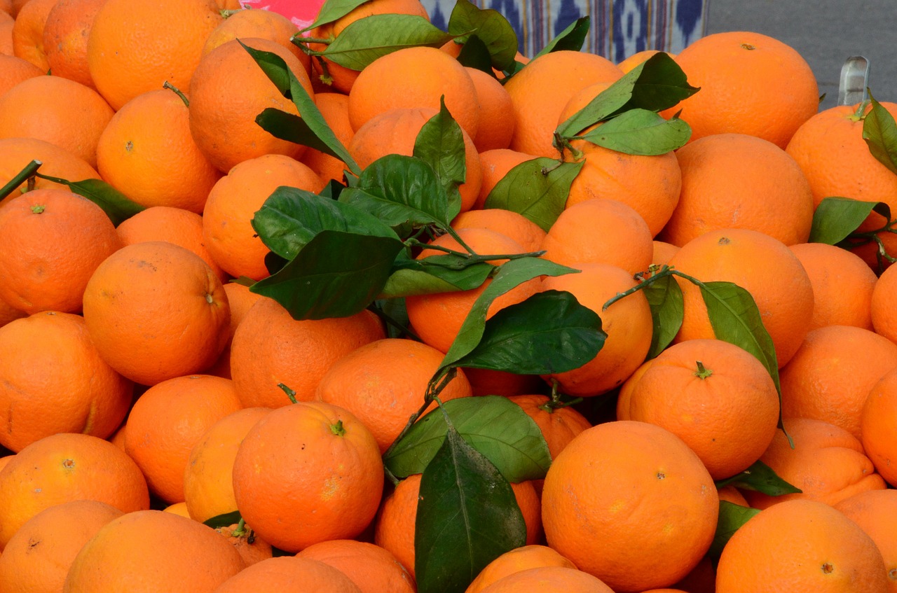 oranges fruit citrus fruit free photo