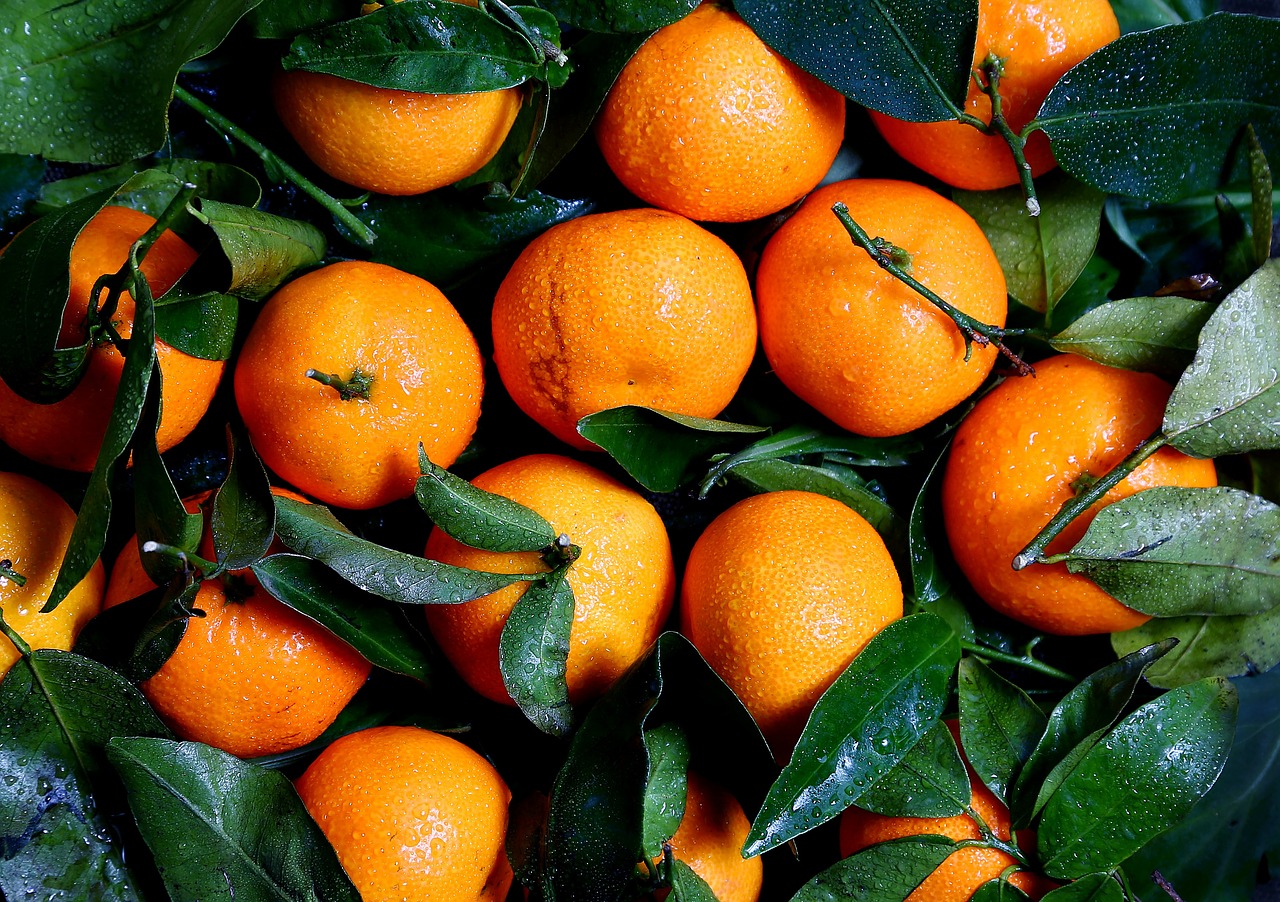 oranges fruits citrus free photo