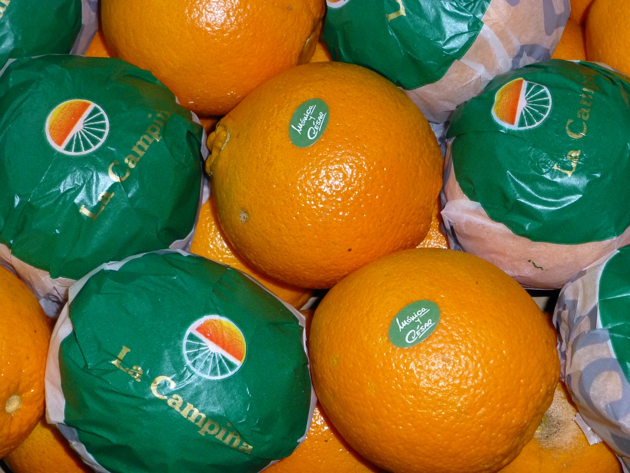 oranges fruit citrus free photo
