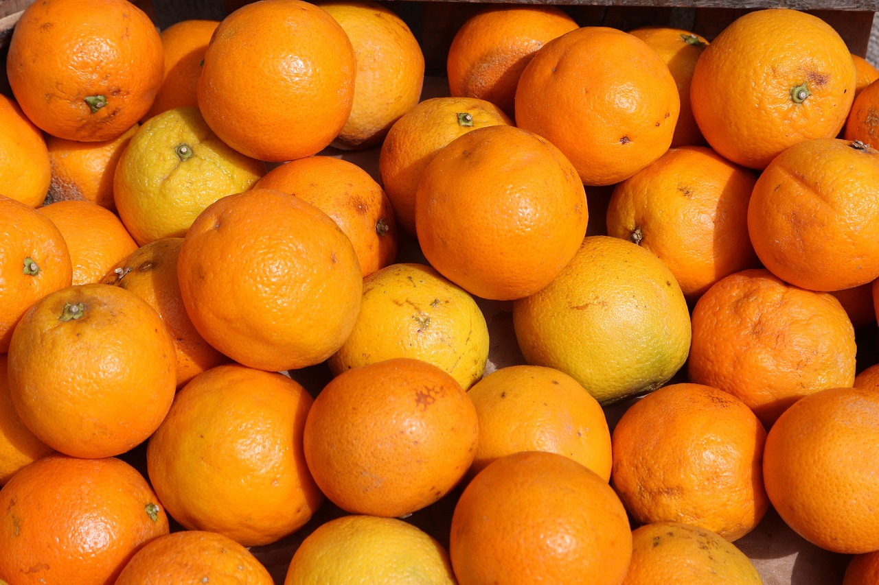 oranges orange citrus fruit free photo