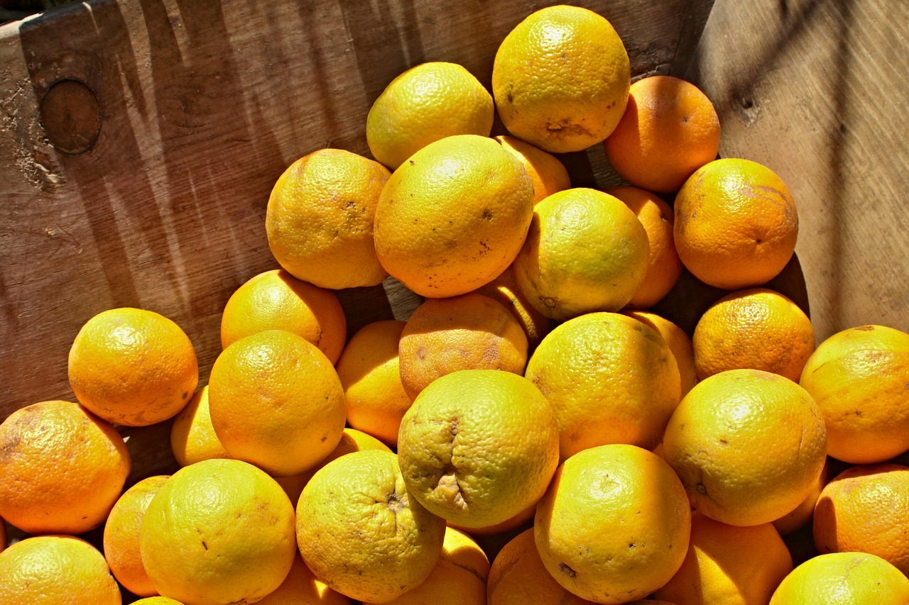 oranges tropical fruits natural free photo