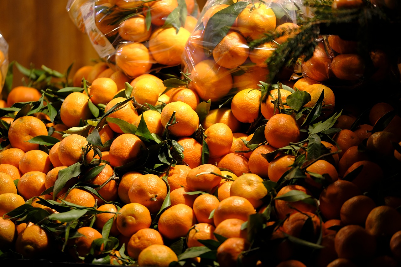 oranges grapefruit lemons free photo